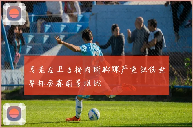 马竞后卫吉梅内斯脚踝严重扭伤世界杯参赛前景堪忧